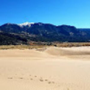 Meet your Posher, Riley